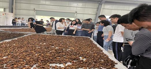 打好业态“组合牌” 贵池区涓桥镇绘就农业高质量发展新画卷